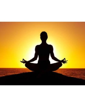 Joy Of Yoga Classes:  Week-days: 1 Month Pack